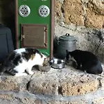 L'antico Molino