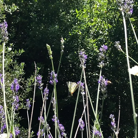 L'antico Molino Bed and Breakfast 3*