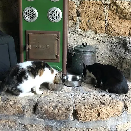 L'antico Molino